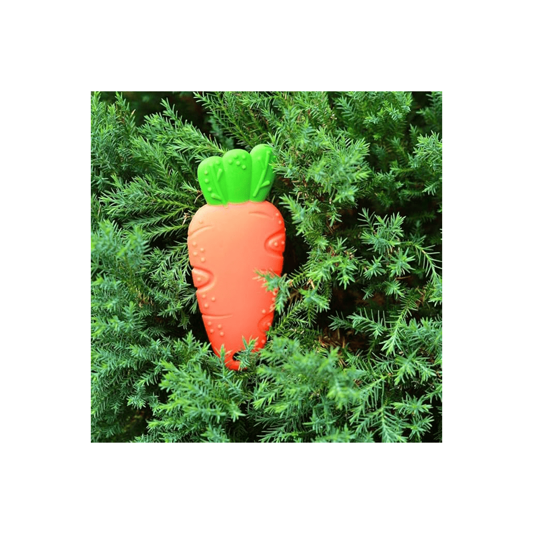 B4brain Toys B4brain Silicon Carrot Teether - Orange Green