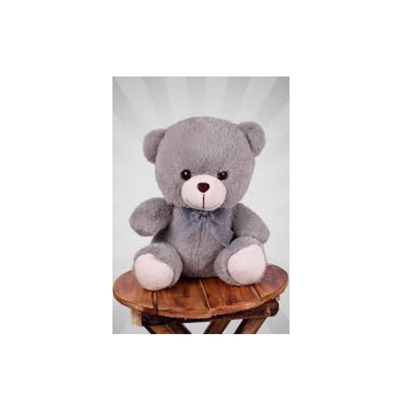 Soft teddy for kids