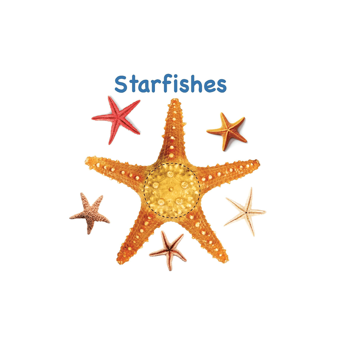 Om Books International Books Om Books Board Book: Touch And Feel Ocean World (1 Year+)