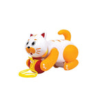 Walk & Drive Truck,Push & Ride Toy Vehicle,High-Quality,Non-Toxic Plastic,To Improve Balance,Coordination,Motor Skills,Active Play (2 Years+)