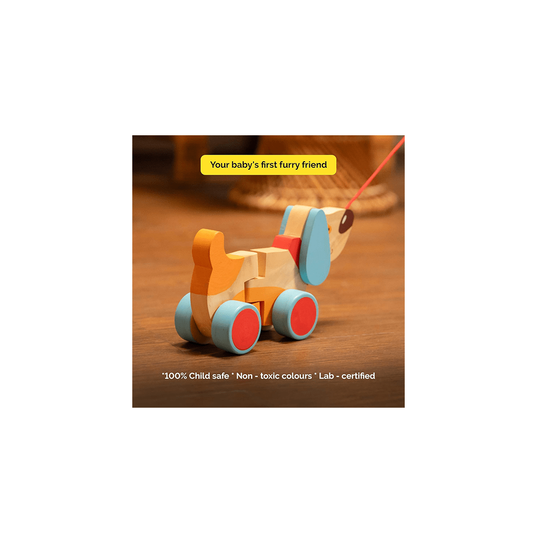Shumee Toys Shumee Wooden Dog Pull Along Toy - Bruno (1 Years+)