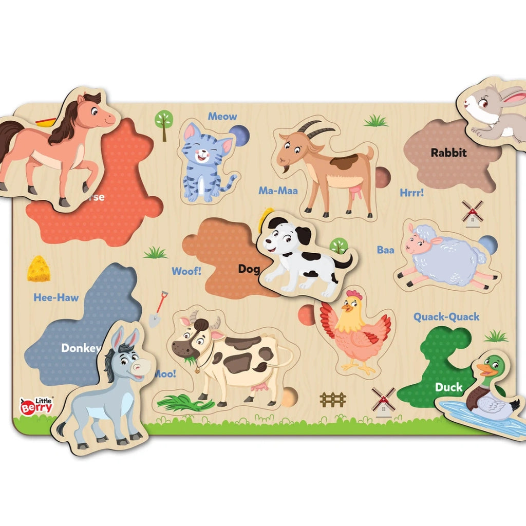 10 Piece Animal Recognition Toy 