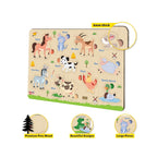 10 Piece Animal Recognition Toy 