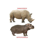 My First Zoo Animals Picture Book