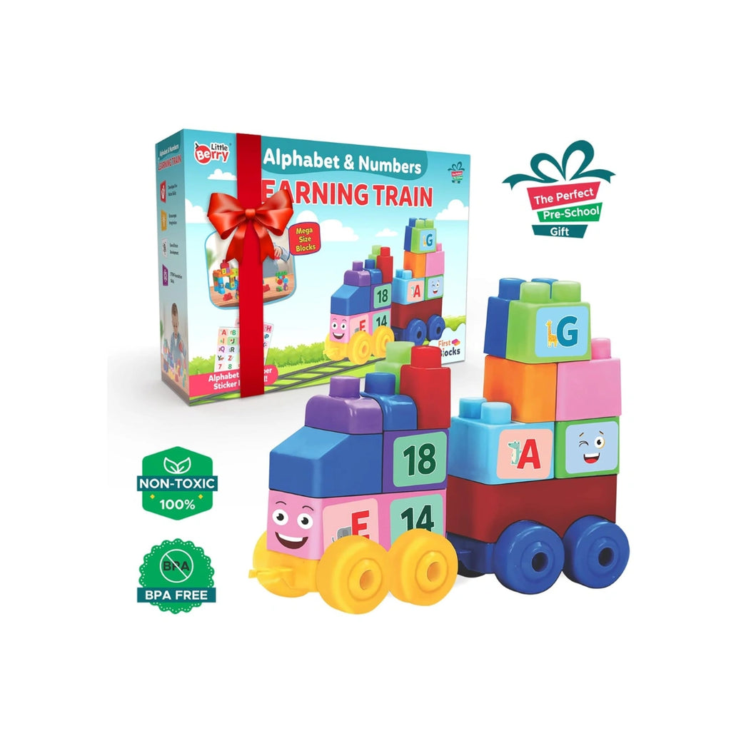 Alphabet & Number Learning Toy