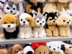 Rolex Luxury Plush Puppy Dog Collection - Set of 5 Sitting Soft Toy Dogs 3-14 Years