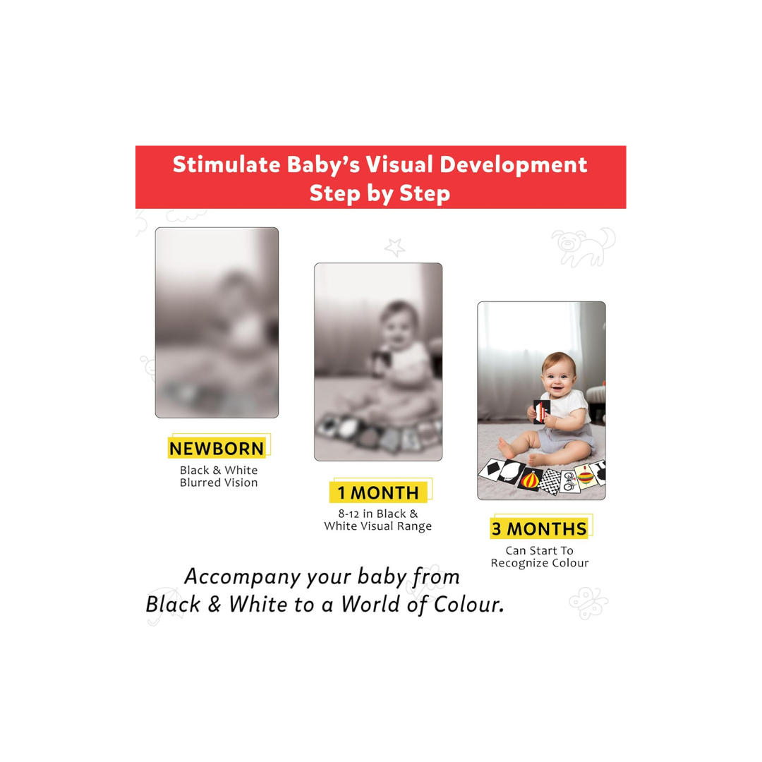 Little Berry High Contrast Flash Cards for New Born Babies & Infants, 32 Double-sided Black & White Cards With 60+ Pictures, (0-18 Months)