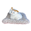 cat plush toy1
