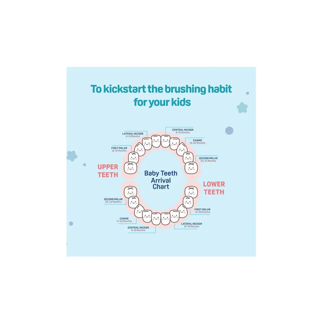 Pigeon Kids Toothbrush with free Tooothpaste, Soft Rounded Bristles Baby & Kids Toothbrush with Easy-Grip Handle, BPA-Free Child-Safe Material, Gentle Oral Care Toothbrush for Toddlers & Growing Kids (2 Years+)