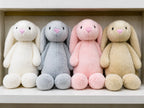 Rolex Premium Soft Plush Bunny Rabbit Teddy – Ultra Soft Stuffed Animal Toy (Color as per Availability) (3+ Years)