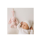 Little Baby LB Pulling Toy-3 Soothing Bunny Plush Toy with Lullaby Music for Babies 0 to 3 Years