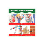 Smartivity Interactive Human Body