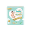 Pampers Baby Care Pampers Premium Care Diaper Pants with 360 Cottony Softness - L