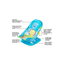 Mee Mee Newborn Baby Bather Bath Chair ,Foldable ,3 Position Adjustable Chair ,Washable Soft Mesh Seat