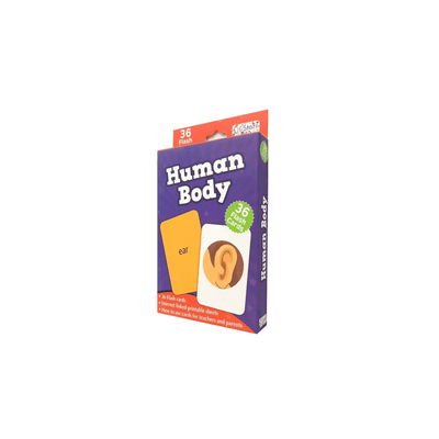 Pegasus Toys Pegasus Human Body - Flash Cards (4 Years+)