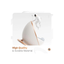R for Rabbit Baby Care R For Rabbit Regal Potty Training Seat for Baby Safe, Comfortable, and Premium ( 6 Months - 4 Years )